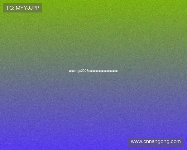 南宫娱乐ng：2026年世界杯现场氛围与球迷互动体验全景报道